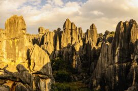 Kunming City Sightseeing Tour