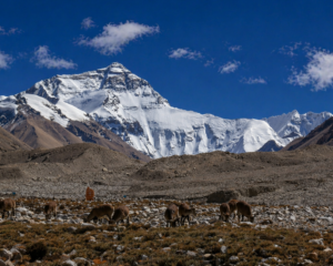 Everest Base Camp Tour from Tibet with Nomad Experience | Tibet Shambhala Adventure